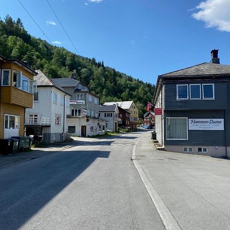 Hammerstuene Mat - Og Gjestehus Surnadal Exterior foto